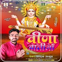 Veena Wali Maa