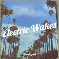 Electric Wakes