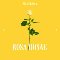 Rosa Rosae