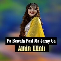 Pa Bewafa Pasi Ma Jaray Ga