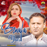 Bewafa Yaar