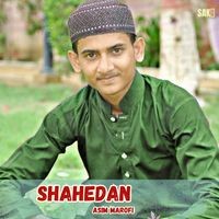 Shahedan