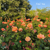 Find You