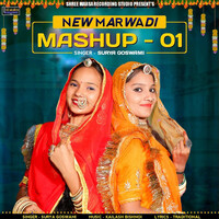 New Marwadi Mashup Pt. 1