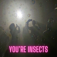 You're Insects