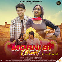 Morni Si Chaal (Slow+Reverb)