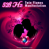 528hz Twin Flames Manifestation