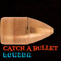 Catch a Bullet