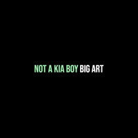 Not a Kia Boy