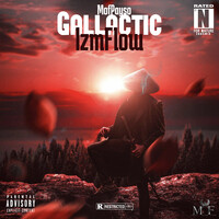 Gallactic Izm Flow