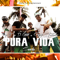 Pura Vida Seeds (feat. Pipo Ti, Crypy & D. Carter)