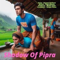 Shadow Of Pipra