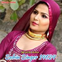 Sahin Singer 14624