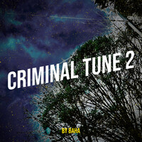 Criminal Tune 2