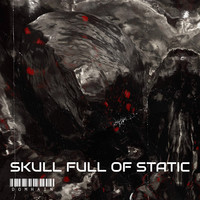 Skull Full of Static