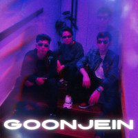 Goonjein