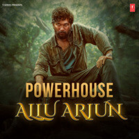 Powerhouse Allu Arjun