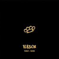 Tersox (Slowed + Reverb)
