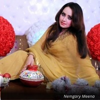 Nemgary Meena