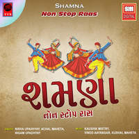 Shamna - Non Stop Raas