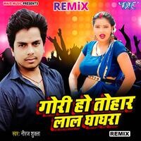 Gori Ho Tohar Lal Ghaghara - Remix