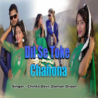 Dil Se Toke Chahona