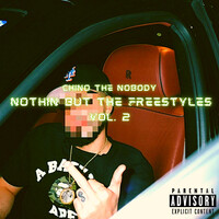 Nothin’ but the Freestyles, Vol. 2