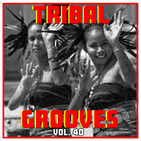 Tribal Grooves, Vol. 40