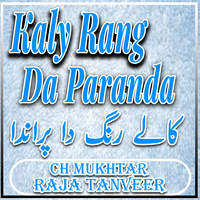 Kaly Rang Da Paranda