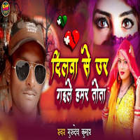 Dilwa Se Ur Gele Hamar Tota