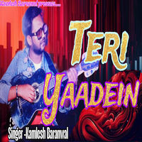 Teri Yaadein