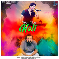 new holi song mp3 2025 in hindi