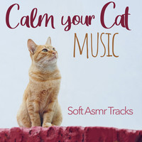 Calm Your Cat Music - Soft Asmr Tracks