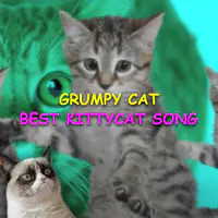 Best Kittycat Song