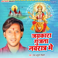 Jaikara Gunjata Navratar Me