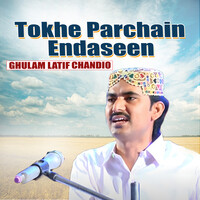 Tokhe Parchain Endaseen