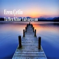 sevda nedir bilmeyenin vay haline songs download sevda nedir bilmeyenin vay haline mp3 turkish songs online free on gaana com