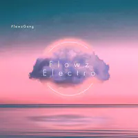 FlowzElectro