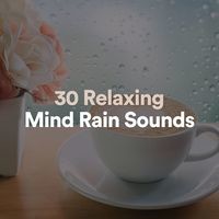 30 Relaxing Mind Rain Sounds