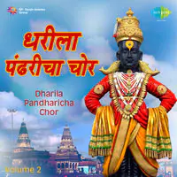 Dharila Pandharicha Vol 2 Marathi