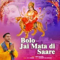 Bolo Jai Mata Di Saare