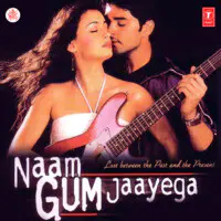 Naam Gum Jaayega