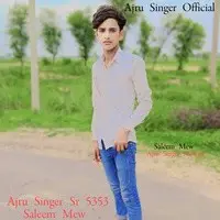 Ajru Singer Sr  5353 Saleem Mew