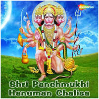 Shri Panchmukhi Hanuman Chalisa