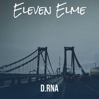 Eleven Elme