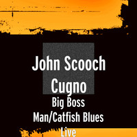 Big Boss Man/Catfish Blues (Live)