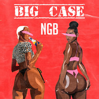 Big Case