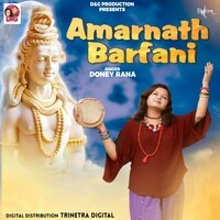 Amarnath Barfani