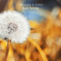 Sun Smile