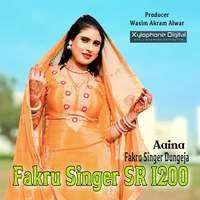 Fakru Singer SR 1200